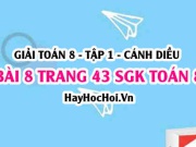 Giải bài 8 trang 43 Toán 8 Tập 1 SGK Cánh Diều
